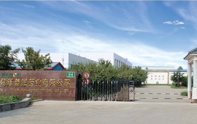关于普恩药业